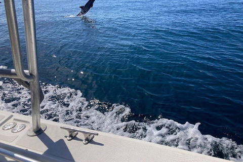 San José del Cabo: Ocean Safari