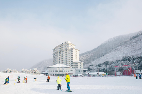 Elysian Ski Resort_ Snow Hill (Snow sled) Day Tour Depart from Hongdae Station Exit 8