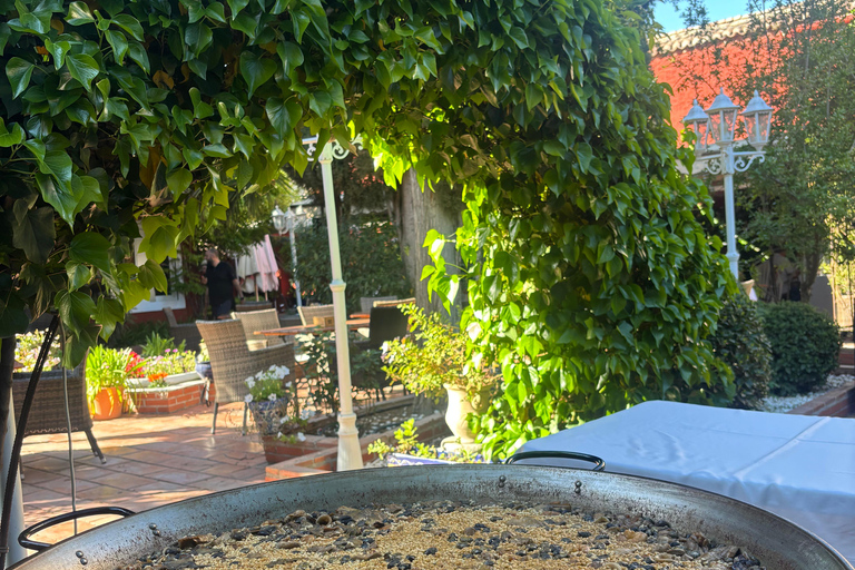 Granada: Jantar com Paella num Terraço do Albayzín e Flamenco ao Vivo