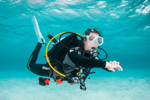 Madère : expérience de plongée sous-marineMadère: expérience de plongée sous-marine guidée de 3 heures