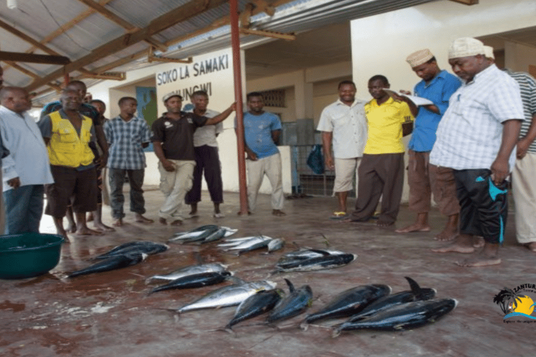 Zanzibar: Nungwi Village Tour och simning med sköldpaddor