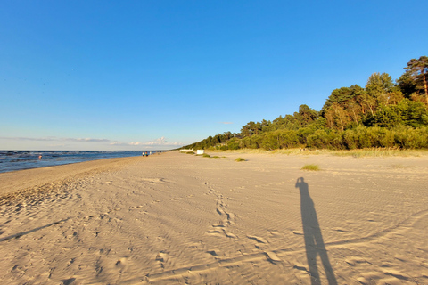 Ķemeri Great Bog With Optional Sunrise & Jūrmala Visit Ķemeri Bog Shared Small Group Tour