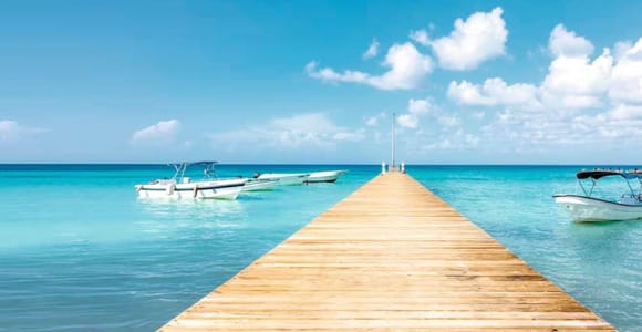 Bayahibe: Samaná and Miches Whale Watching Day Trip