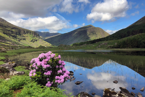 Killarney: The Ring of the Reeks - Backroads Rural Tour Killarney: Ring of the Reeks Photo Tour