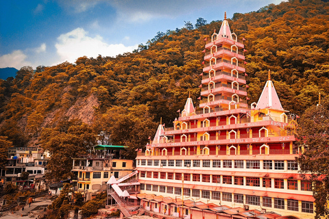 Da Delhi: Tour privato di un giorno a Rishikesh e Haridwar