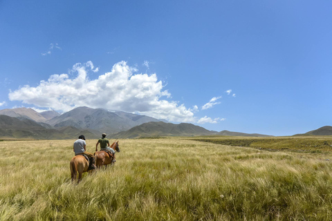 Botswana: Scenic Horseback Ride to the Thamalakane River 4 hours Luxury Horseback Ride to the Thamalakane River