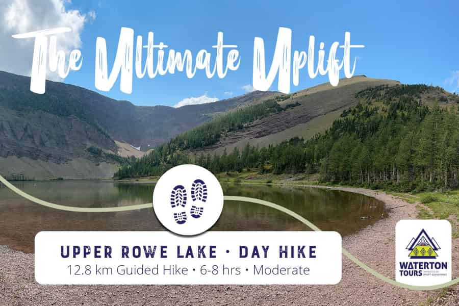 Waterton: Upper Rowe Lake - Wanderung. Foto: GetYourGuide Waterton: Upper Rowe Lake - Wanderung. Foto: GetYourGuide