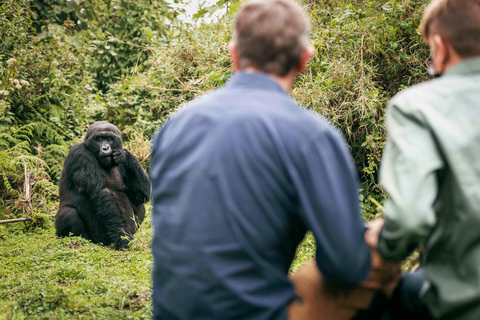 3-day Rwanda Gorilla Trekking in the Volcanoes National Park