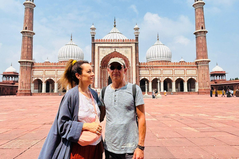 Delhi: tour de la ciudad privado de un día por la Vieja y Nueva DelhiTour de la ciudad de un día por Vieja y Nueva Delhi (coche + guía)