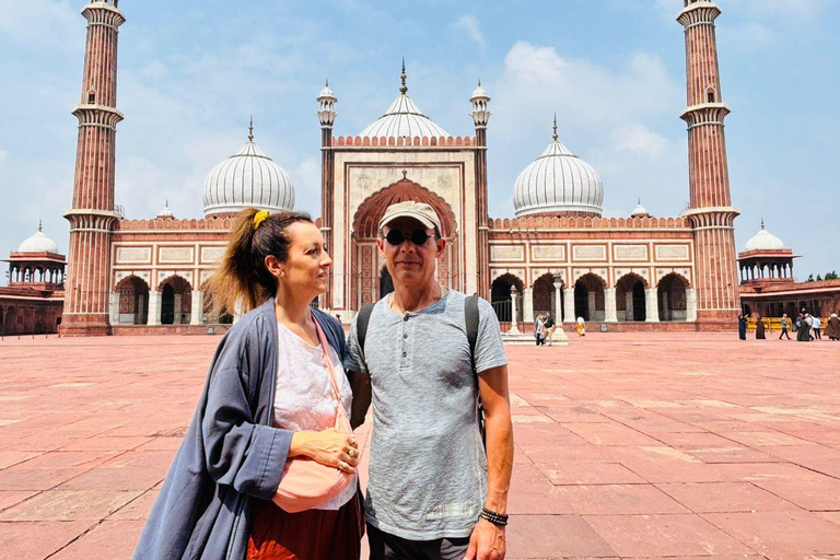 Delhi: tour de la ciudad privado de un día por la Vieja y Nueva DelhiTour de la ciudad de un día por Vieja y Nueva Delhi (coche + guía)