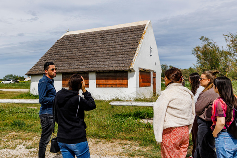 Aigues-Mortes 3H: Discover the secret Camargue in a 4x4 Full-Day