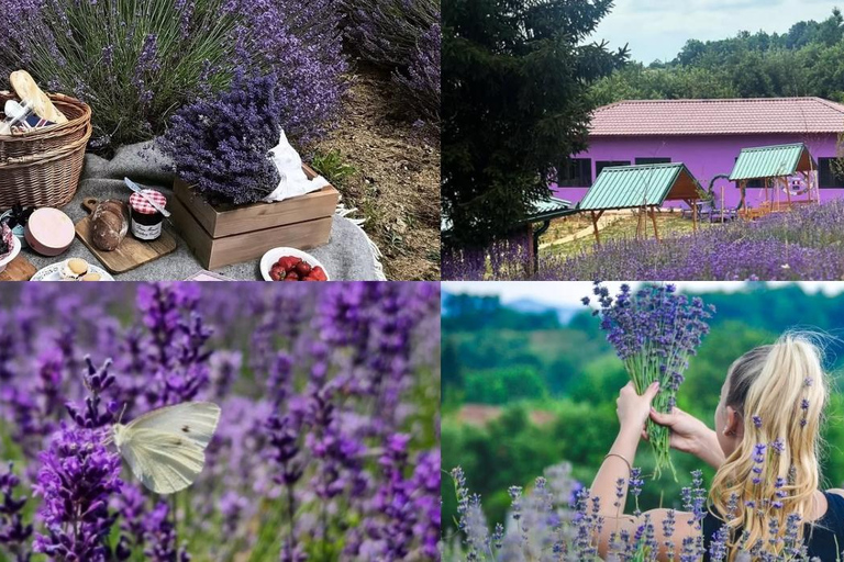 From Sarajevo: Tour to 3 unique farms