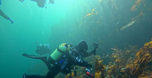 Bergen: Guided Dive Tour - All-Inclusive