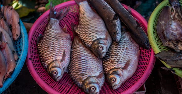 Siem Reap: Night Market Street Food Tour with Dinner