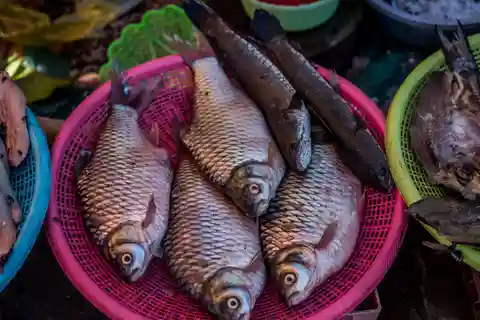 Siem Reap: Tour gastronómico de rua no mercado noturno com jantar