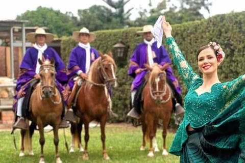 From Trujillo | Marinera show with Peruvian Paso horses