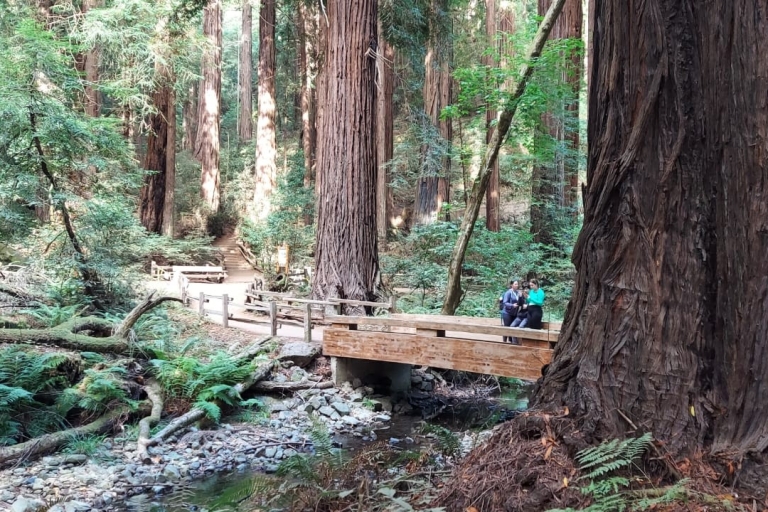Vanuit San Francisco: groepsreis Muir Woods en Sausalito