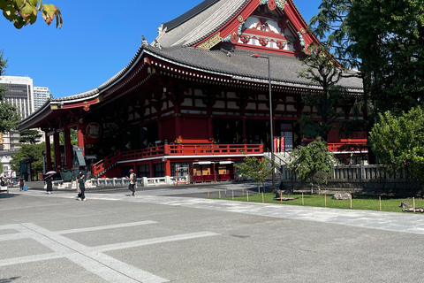 4-Daagse privétour Mt Fuji, Hakone, Nikko en Tokio.