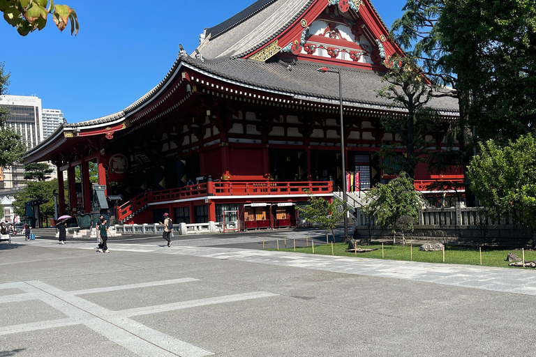 4-Daagse privétour Mt Fuji, Hakone, Nikko en Tokio.