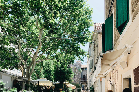 Split Then & Now: Palace & City Life – Small Group Tour