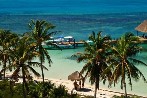 From Cancun: Isla Contoy and Isla Mujeres Tour with Lunch