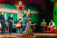 Siviglia, Flamenco al Palacio Andaluz con cena opzionale - Hizvo
