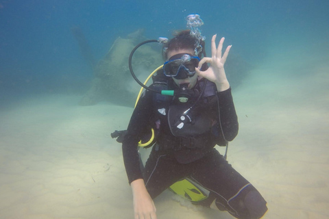 Hammamet: Guided Diving Experience with Hotel Transfer