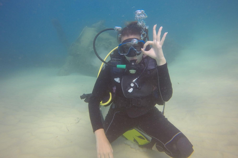 Hammamet: Guided Diving Experience with Hotel Transfer