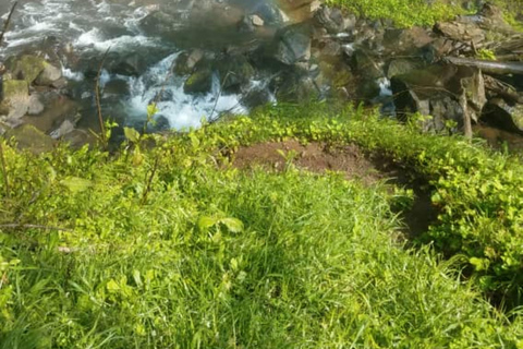 Tagestour zu den Materuni Wasserfällen $ Coffee Tour mit Mittagessen