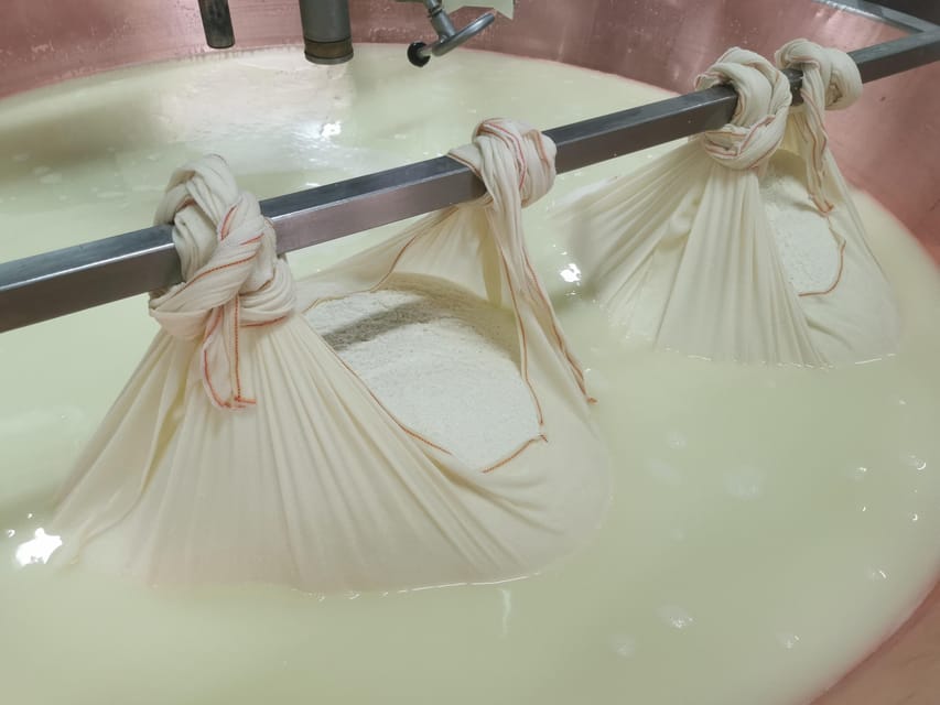 Bologna Parmigiano, Wine and Balsamic Vinegar experience GetYourGuide