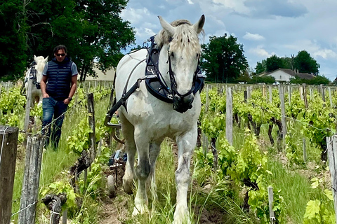 Exploration Oenologique au Château Labrie St Emilion GC Private Wine Tour at Château Labrie Saint Emilion Grand Cru