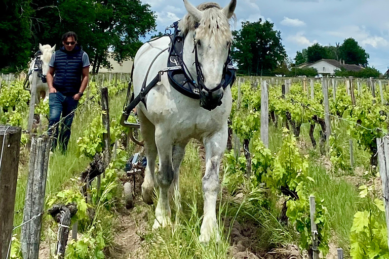 Exploration Oenologique au Château Labrie St Emilion GC Private Wine Tour at Château Labrie Saint Emilion Grand Cru