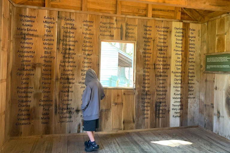 La Nouvelle-Orléans : Oak Alley Plantation visite d&#039;une demi-journée