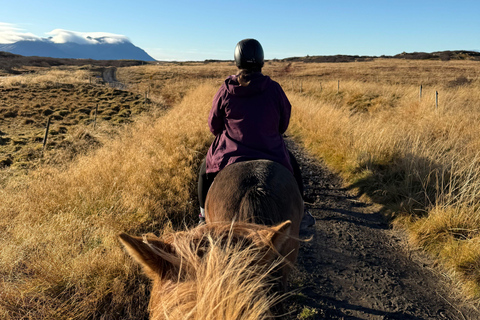 Dragør: Søvang Horseback Riding Tour with Icelandic Horses