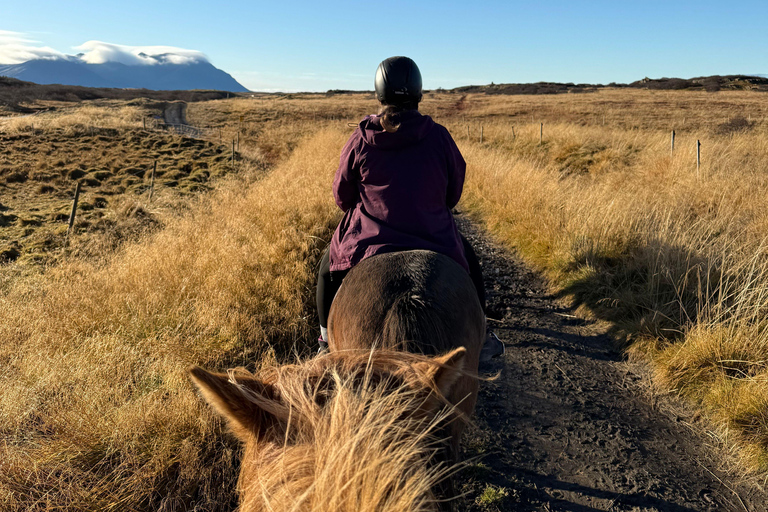 Dragør: Søvang Horseback Riding Tour with Icelandic Horses