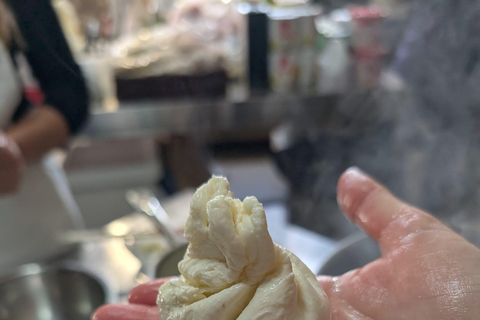 Lyon: Make your own mozzarella from local raw milk