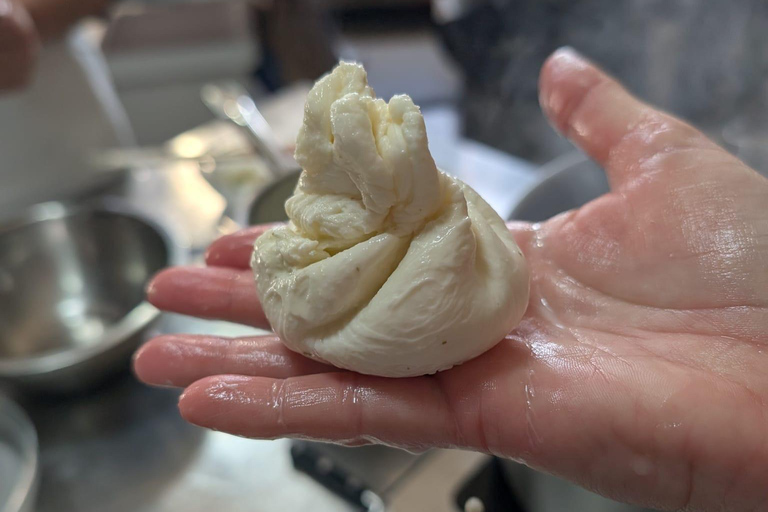 Lyon: Make your own mozzarella from local raw milk