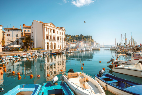 Vanuit Ljubljana: Piran met historische wandeltour