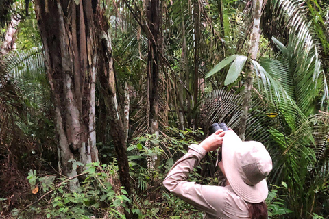 Tambopata: 2 dagar och 1 natt - Aventura och Sandoval Lake