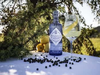 Visit Citadelle Gin Distillery