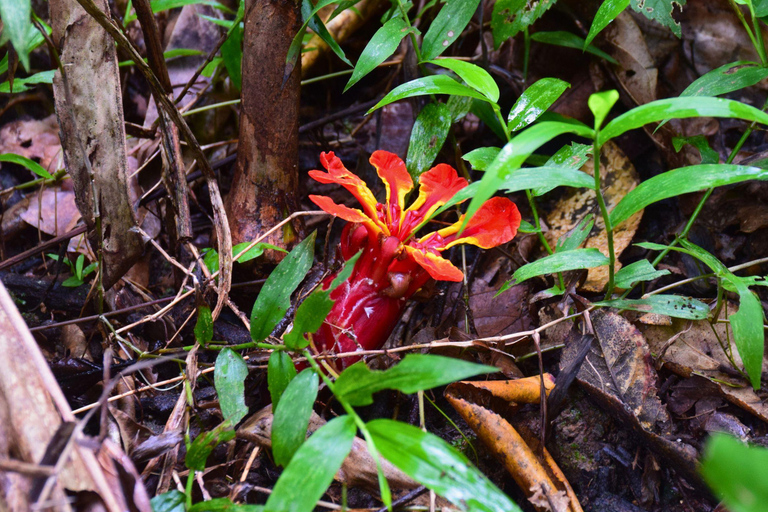 البرية: جولة مشي لمسافات طويلة ومشاهدة النجوم في خاو ياي لمدة يومينجولة المجموعات الصغيرة