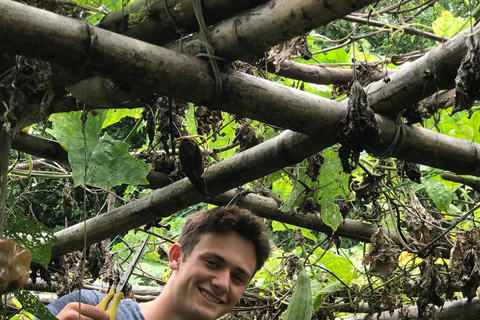 Hue: Thuy Bieu Village Cycling Tour & Perfume River Cruise