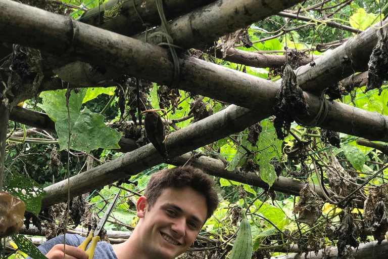 Hue: Thuy Bieu Village Cycling Tour & Perfume River Cruise