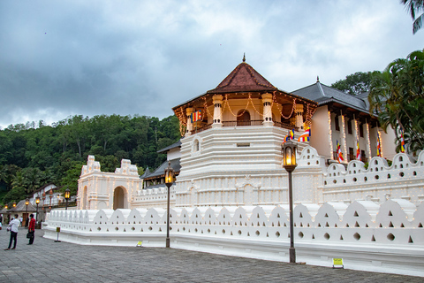 Sri Lanka: 8-Days Tour from the Airport with Private Guide 8 Days Tour with Flat Roof Van