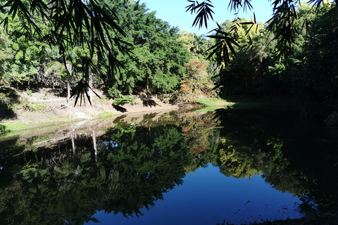 Puerto Plata: Dolina Taino i doświadczenie smaku Dominikany