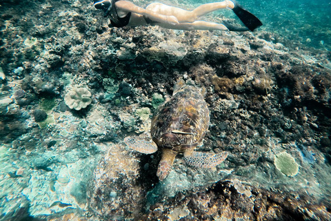 Nusa Penida: Snorkeling 3 Spots with GoPro & West Land Tour Snorkeling 3 Spots with West Land Tour - Meet at Penida Port