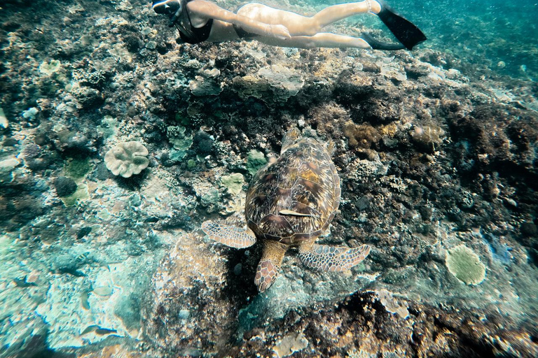 Nusa Penida: Snorkeling 3 Spots with GoPro & West Land Tour Snorkeling 3 Spots with West Land Tour - Meet at Penida Port