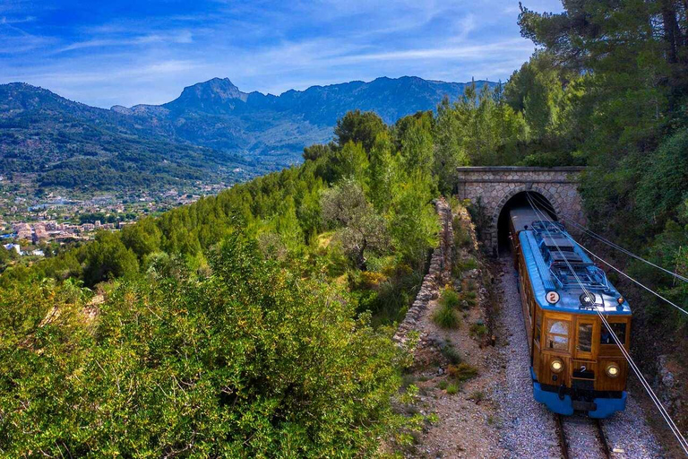 All of Mallorca: Exclusive Experience in an Intimate Group (12 people max.)