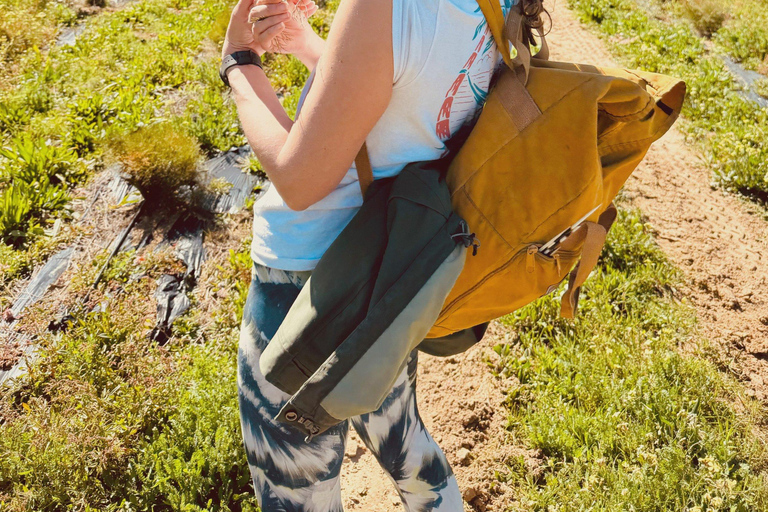 Kaapstad: reis door het wijnparadijs van Zuid-AfrikaKaapstad: Reis door het wijnparadijs van Zuid-Afrika