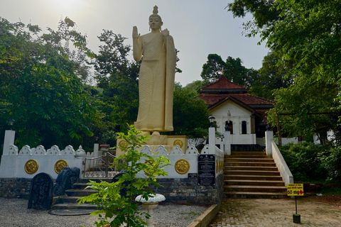 From Colombo: Cave Temples, Jungle Trek & Waterfall Swim
